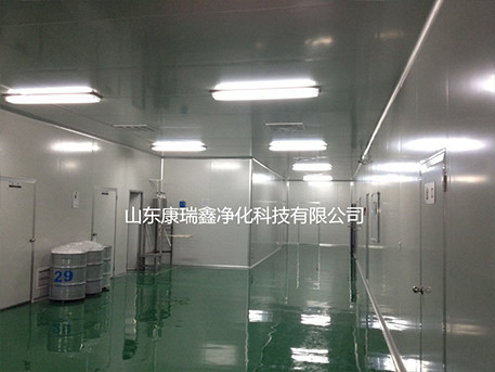 高分子精細化工潔凈車(chē)間凈化工程