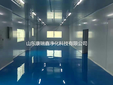 高分子精細化潔凈車(chē)間凈化工程