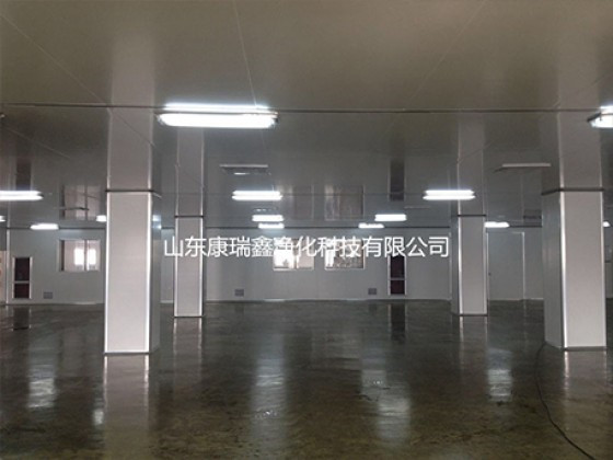 山東百萬(wàn)級汽車(chē)油管車(chē)間凈化工程