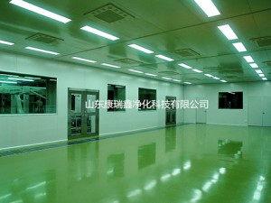 高分子精細化車(chē)間凈化工程