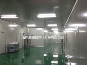 高分子精細化工潔凈車(chē)間凈化工程