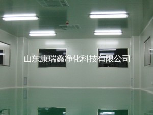 精細化潔凈車(chē)間凈化工程