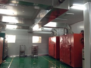 原料預處理車(chē)間凈化工程
